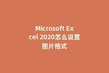 Microsoft Excel 2020怎么设置图片格式