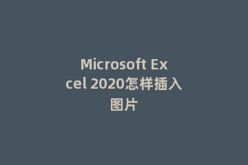 Microsoft Excel 2020怎样插入图片