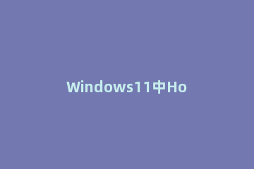 Windows11中Hosts文件在哪？Windows11中Hosts文件位置介绍 windows host文件在哪