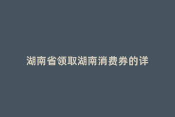 湖南省领取湖南消费券的详细方法 湖南省政府消费券