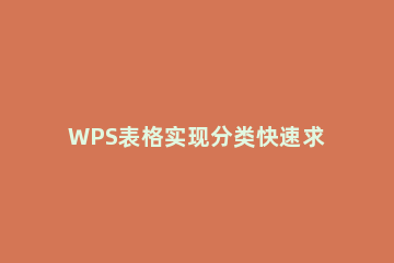 WPS表格实现分类快速求和的具体操作 wps表格分类统计求和